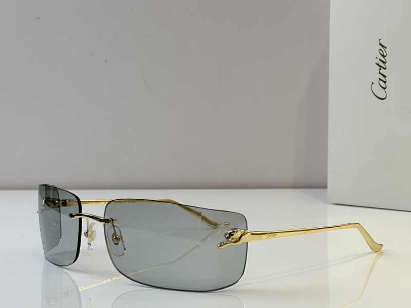 Cartier Glasses 08smh51 (2)