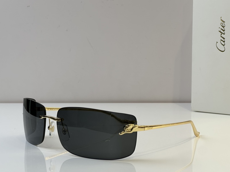 Cartier Glasses 08smh51 (3)