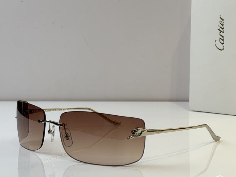 Cartier Glasses 08smh51 (4)