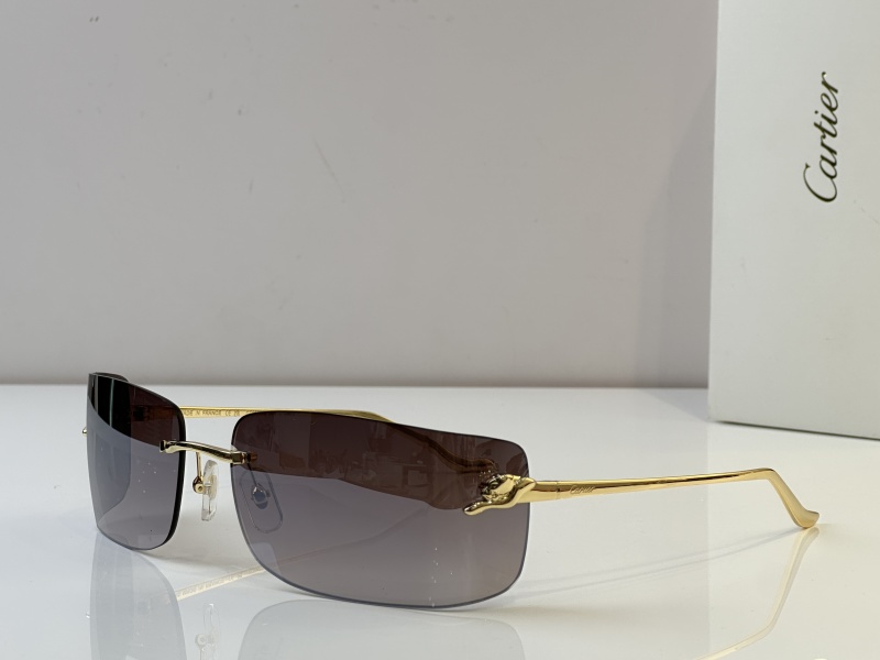 Cartier Glasses 08smh51 (6)