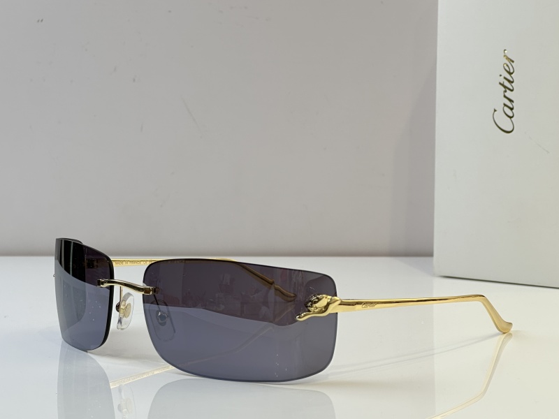 Cartier Glasses 08smh51 (7)