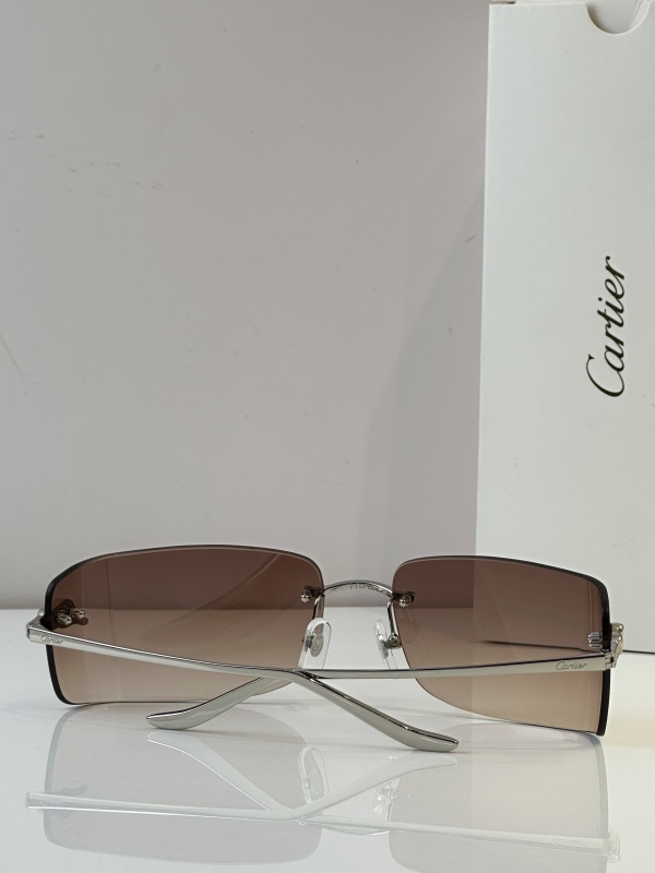 Cartier Glasses 08smh51 (8)