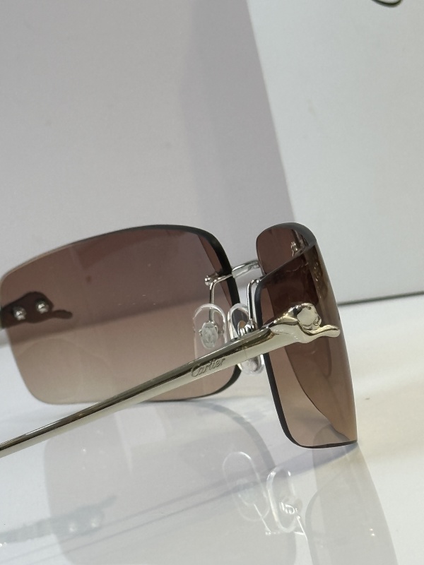 Cartier Glasses 08smh51 (9)