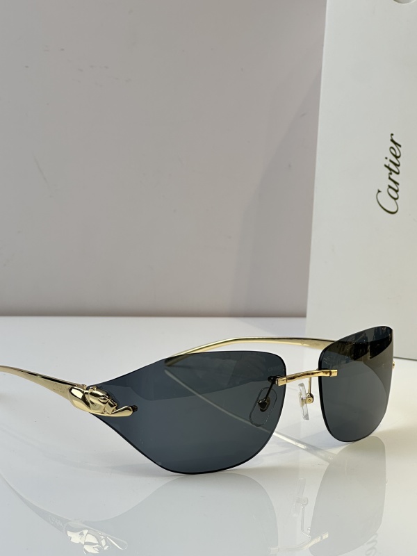 Cartier Glasses 08smh52 (10)