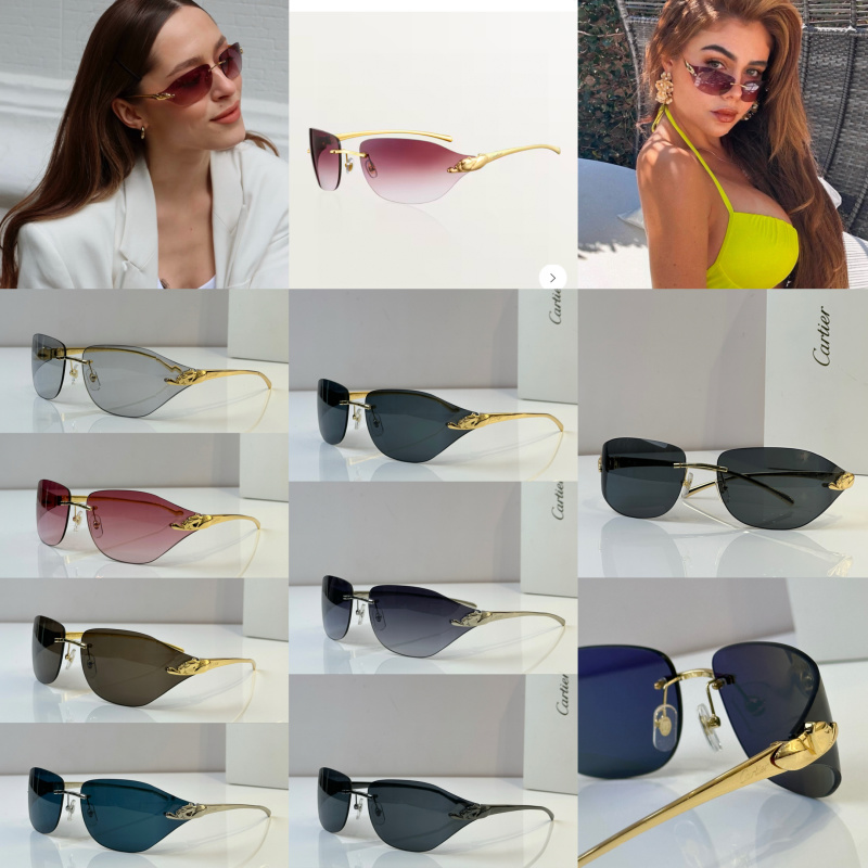 Cartier Glasses 08smh52 (11)