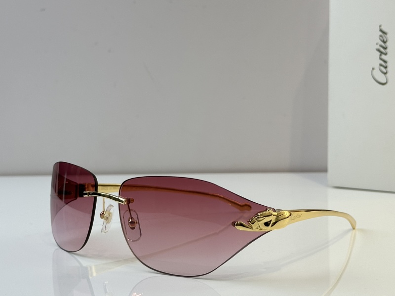 Cartier Glasses 08smh52 (2)