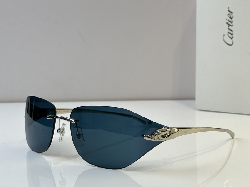 Cartier Glasses 08smh52 (3)