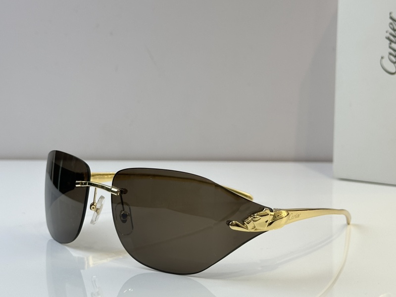 Cartier Glasses 08smh52 (4)