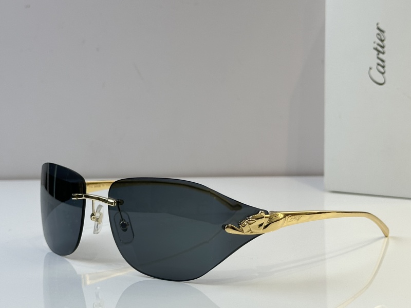 Cartier Glasses 08smh52 (6)