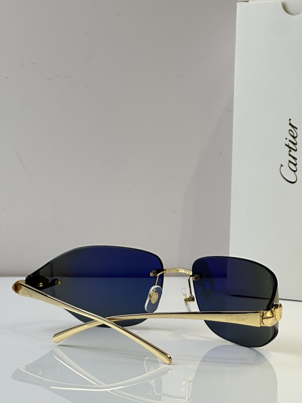 Cartier Glasses 08smh52 (7)