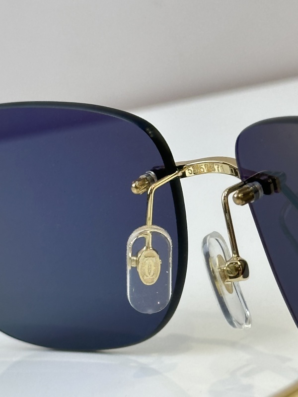 Cartier Glasses 08smh52 (8)