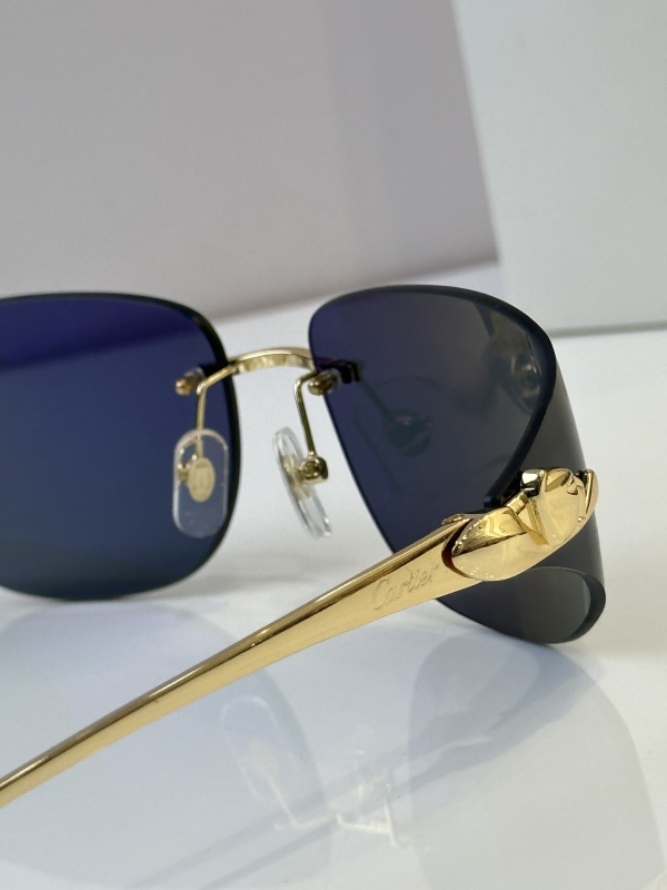 Cartier Glasses 08smh52 (9)