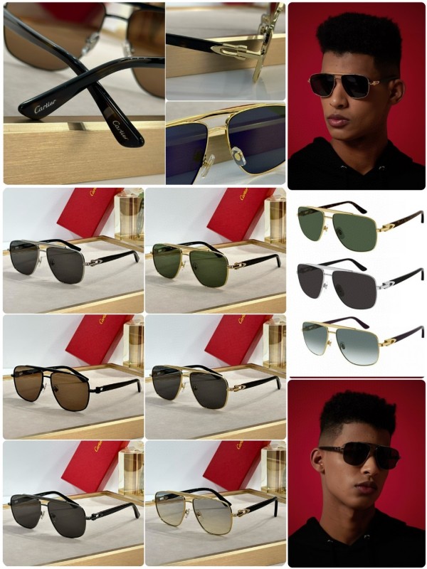 Cartier Glasses 08smh53 (10)