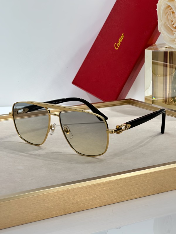 Cartier Glasses 08smh53 (3)