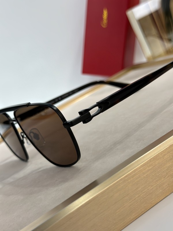 Cartier Glasses 08smh53 (7)