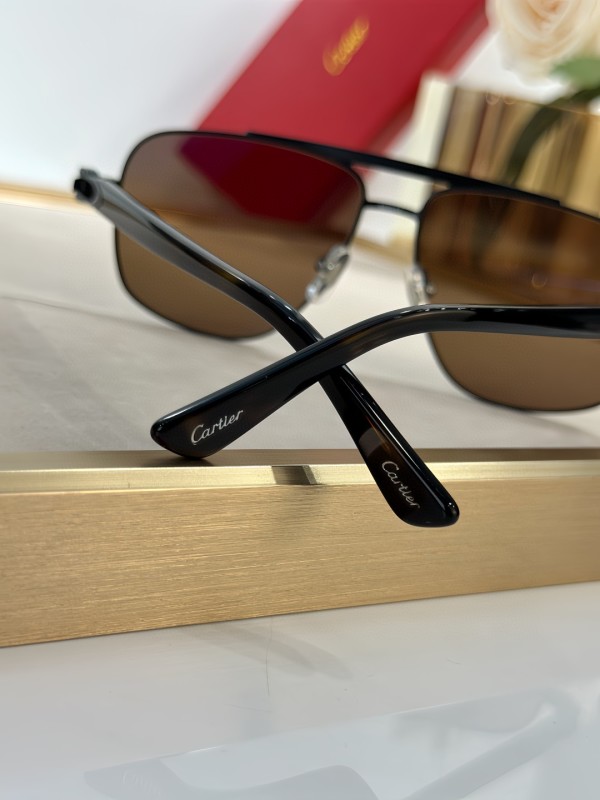 Cartier Glasses 08smh53 (8)