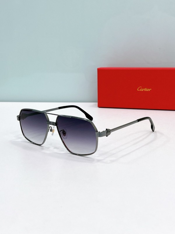 Cartier Glasses 08smh55 (6)