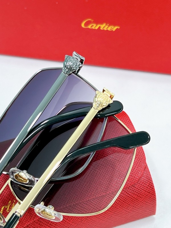 Cartier Glasses 08smh55 (7)