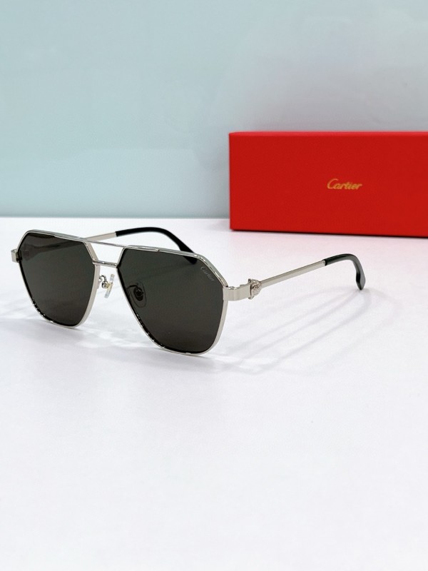 Cartier Glasses 08smh56 (1)