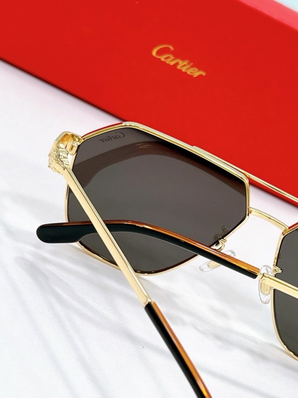 Cartier Glasses 08smh56 (7)