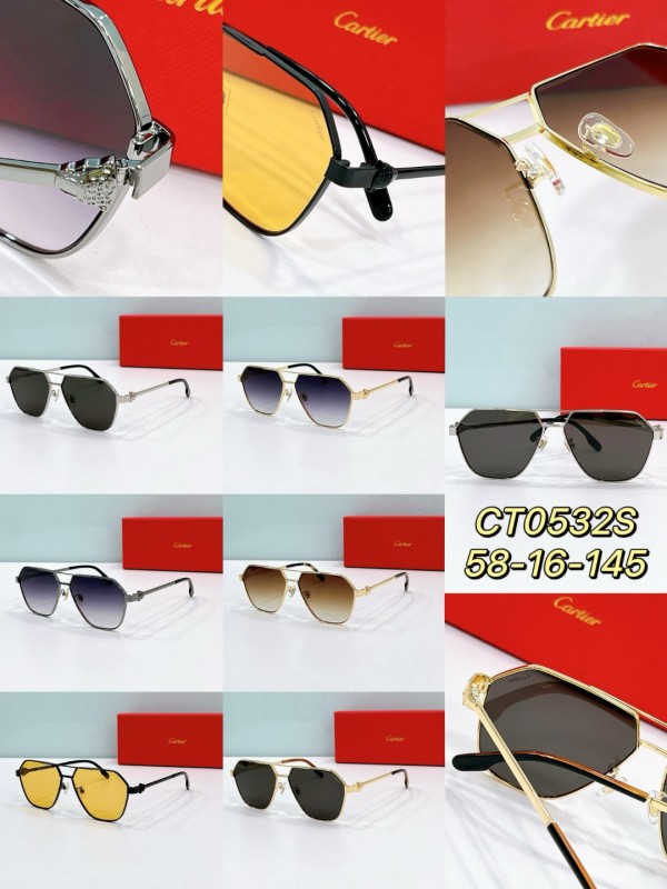 Cartier Glasses 08smh56 (9)