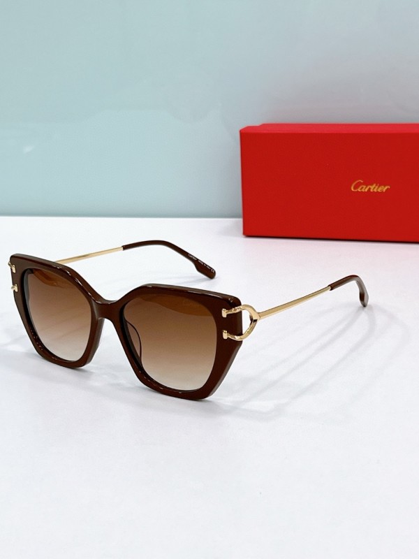 Cartier Glasses 08smh57 (1)