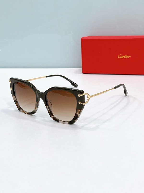 Cartier Glasses 08smh57 (5)