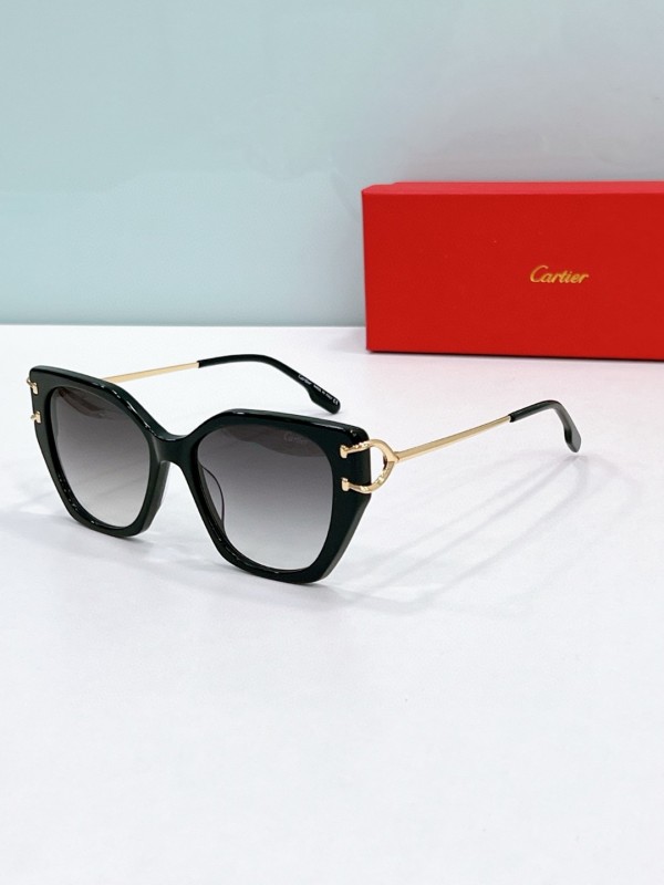Cartier Glasses 08smh57 (6)