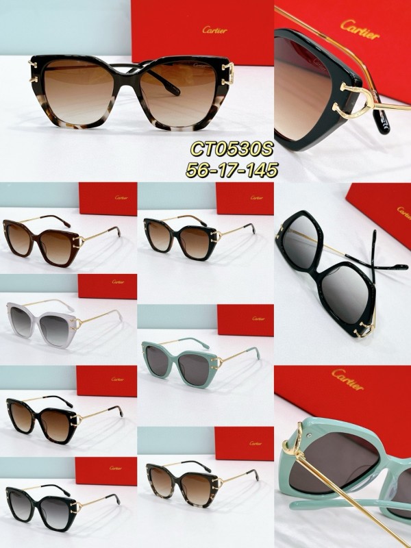 Cartier Glasses 08smh57 (9)