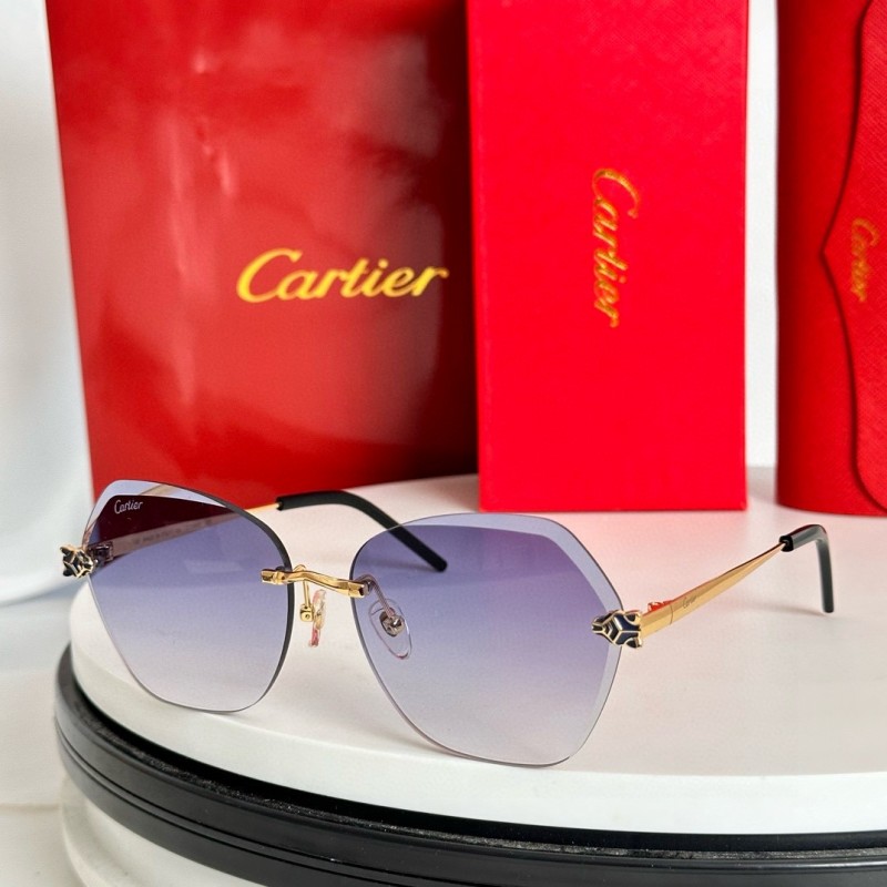 Cartier Glasses 08smh59 (1)