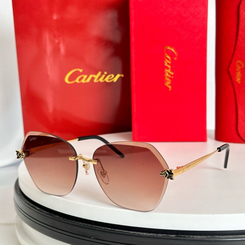 Cartier Glasses 08smh59 (3)