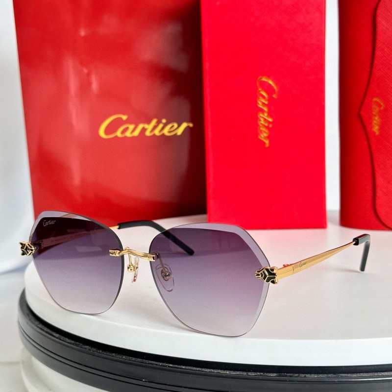 Cartier Glasses 08smh59 (4)