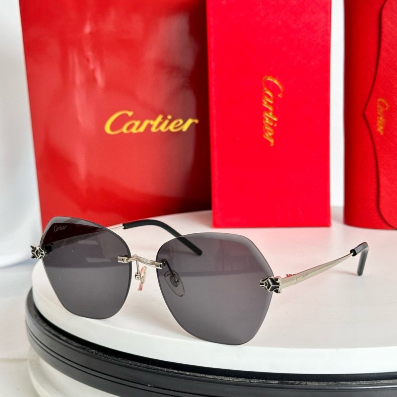 Cartier Glasses 08smh59 (5)