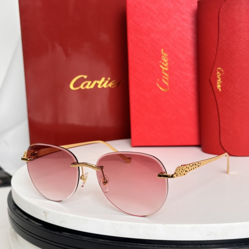 Cartier Glasses 08smh61 (1)