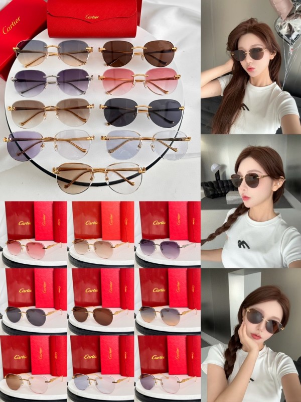 Cartier Glasses 08smh61 (10)