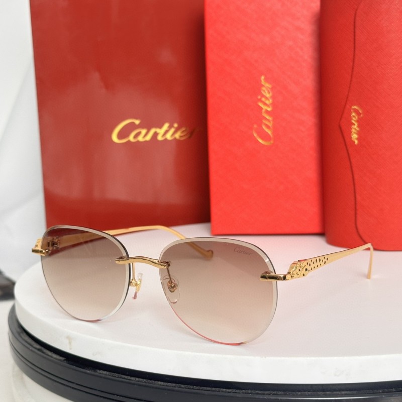 Cartier Glasses 08smh61 (2)