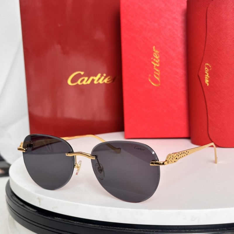 Cartier Glasses 08smh61 (4)