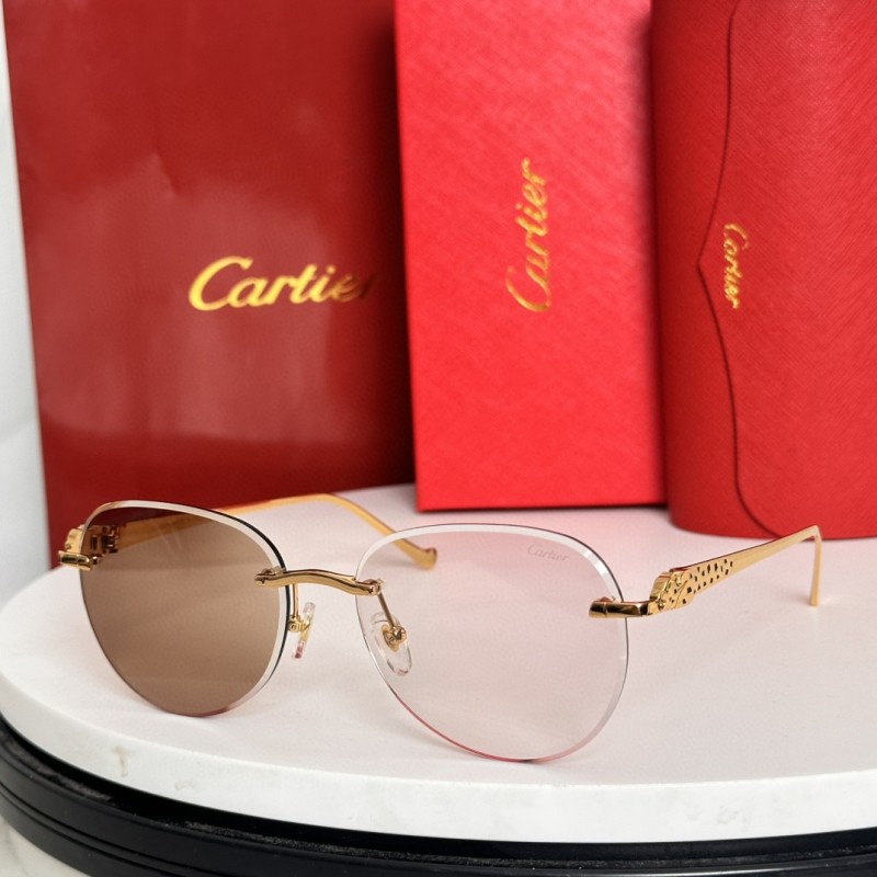 Cartier Glasses 08smh61 (7)