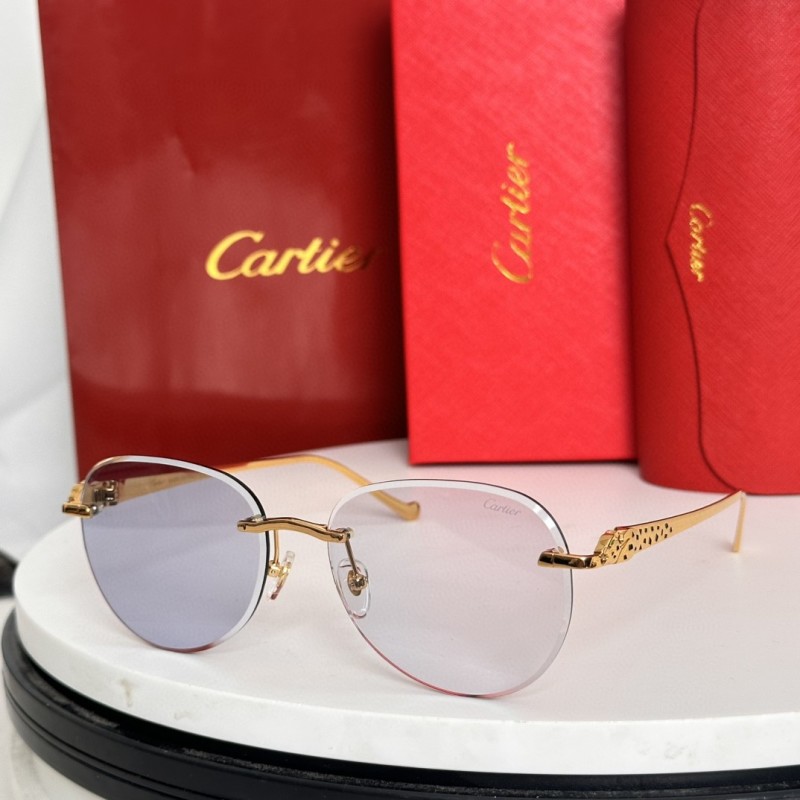 Cartier Glasses 08smh61 (8)
