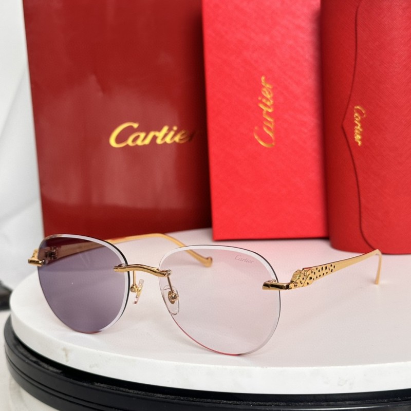 Cartier Glasses 08smh61 (9)