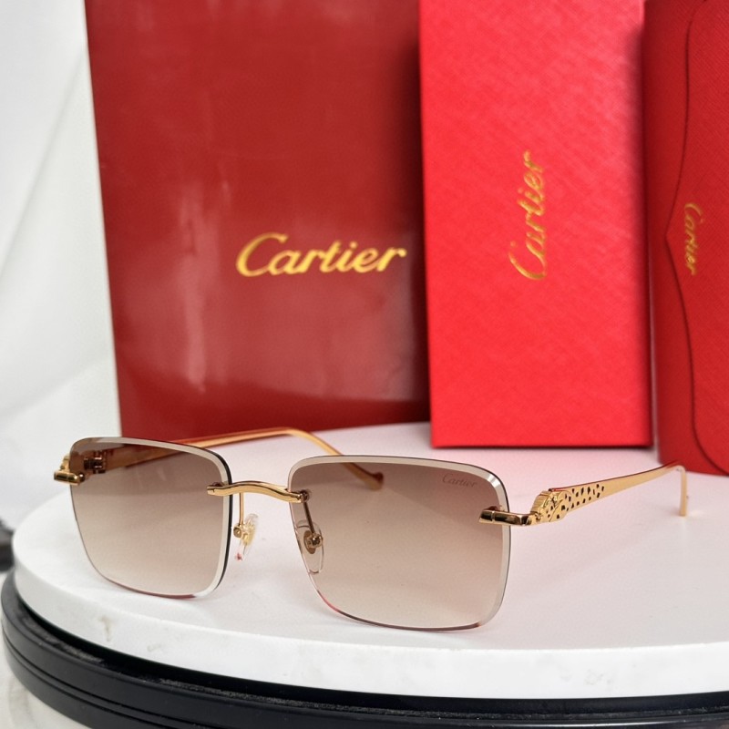 Cartier Glasses 08smh62 (2)
