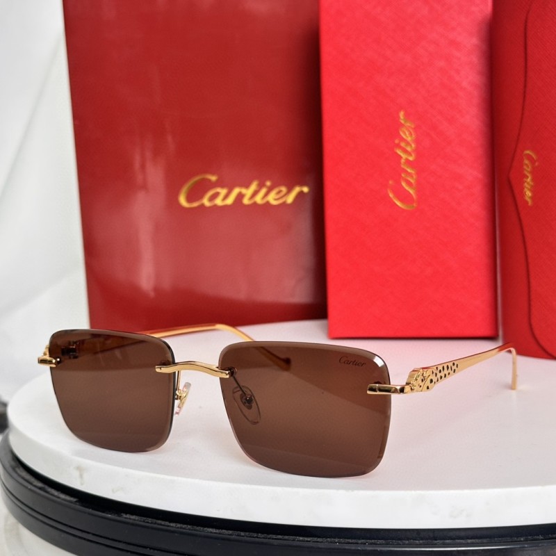 Cartier Glasses 08smh62 (3)