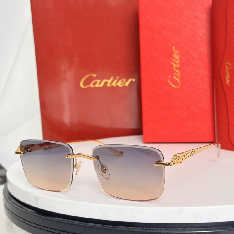 Cartier Glasses 08smh62 (4)