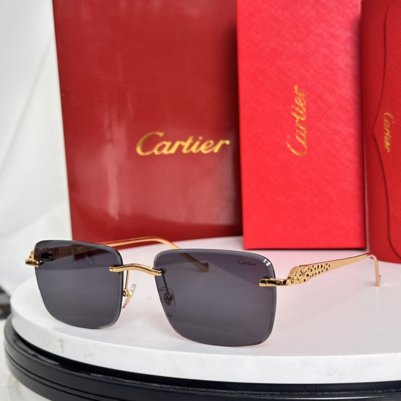 Cartier Glasses 08smh62 (5)