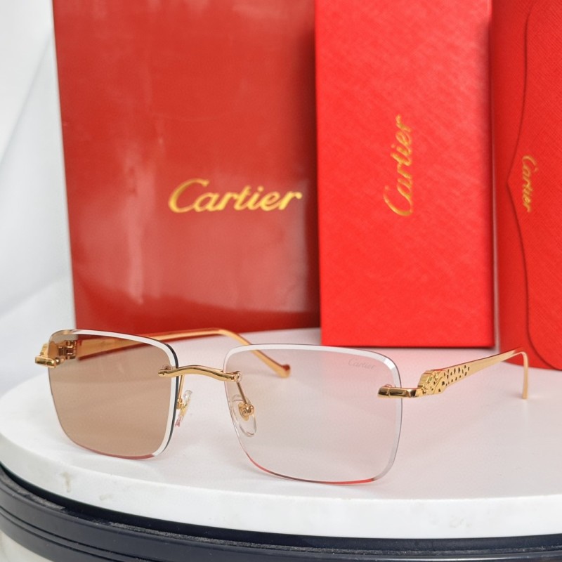 Cartier Glasses 08smh62 (8)