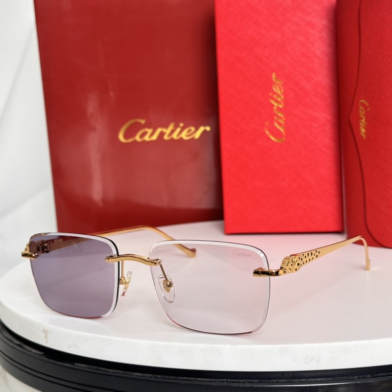 Cartier Glasses 08smh62 (9)