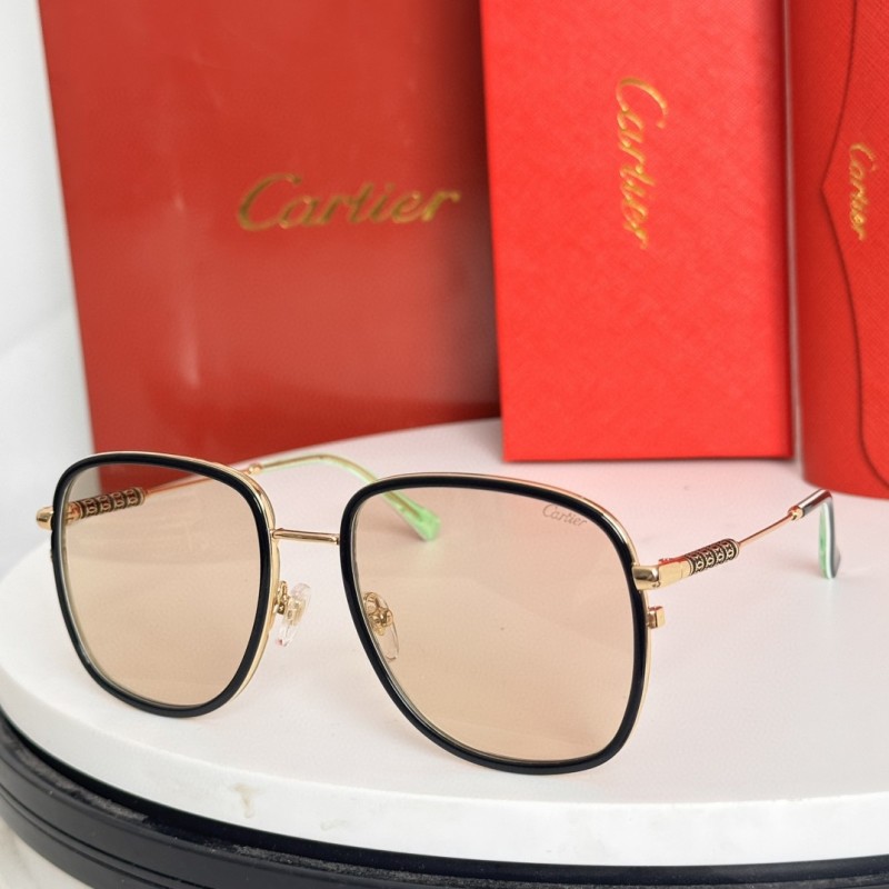 Cartier Glasses 08smh63 (4)