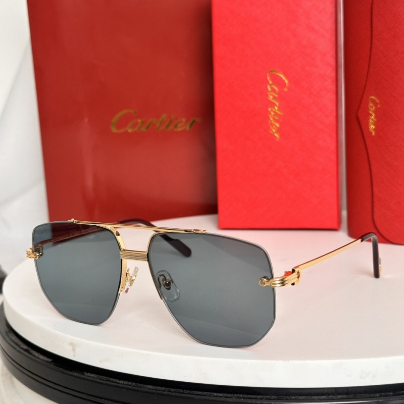 Cartier Glasses 08smh64 (6)