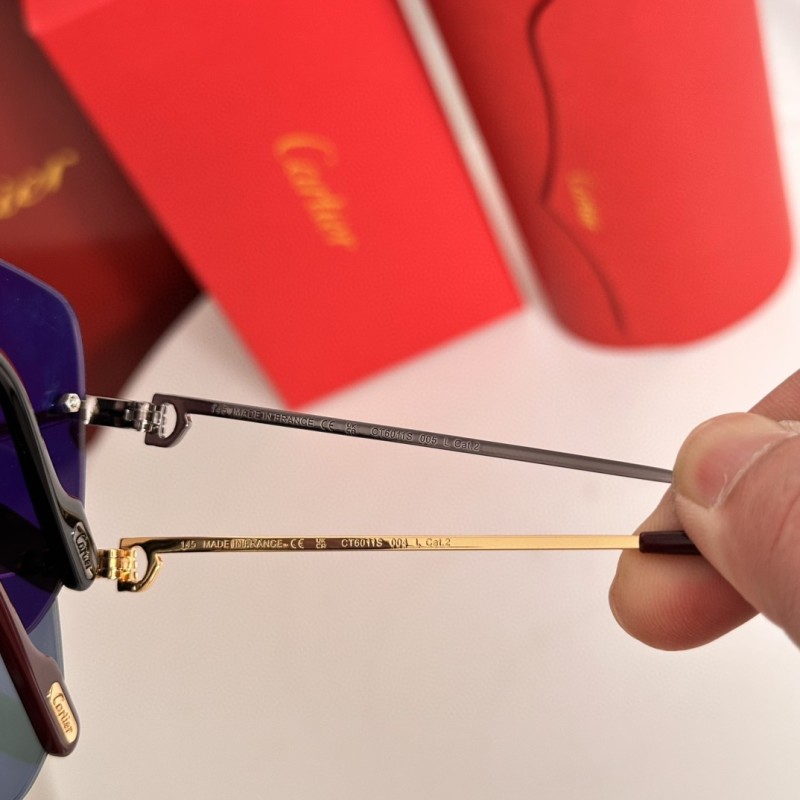 Cartier Glasses 08smh64 (7)