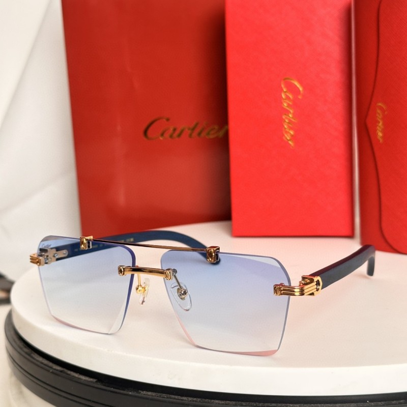 Cartier Glasses 08smh65 (1)